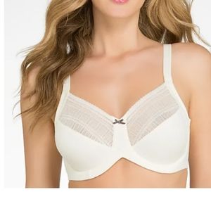 LILYETTE ENCHANTMENT MINIMIZER BRA